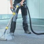 Your Premier Carpet Cleaner in Naples Fl: Maldos Cleaning Pros