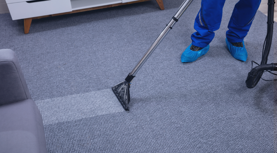 Professional carpet cleaner in naples fl